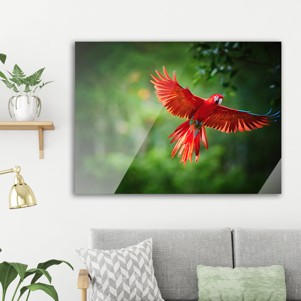 Order Photo Prints Online Photo Prints Photo Printing Jessops Photo