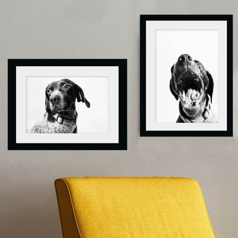 Framed Prints with Mount - Jessops Photo