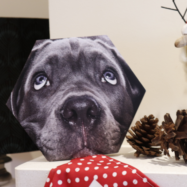 Hexagon block with dog picture